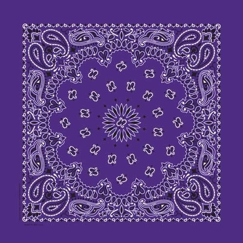 NT4406 Bandana Paisley Purple Bandanas Virginia City Motorcycle Company Apparel 